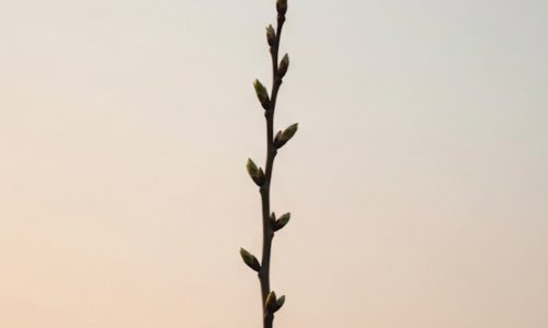 Costruisci il tuo cambiamento